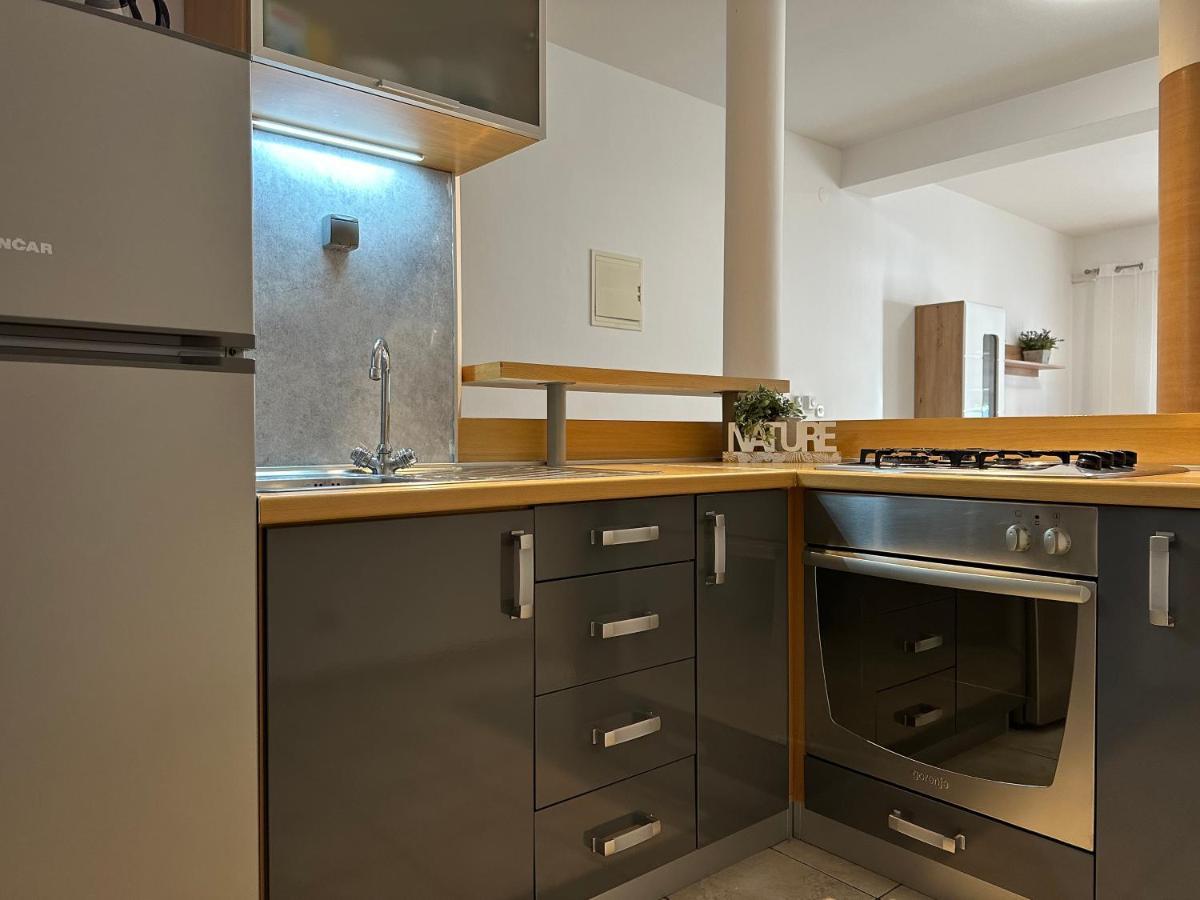Apartment Roko