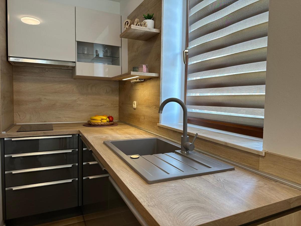 Apartment Roko