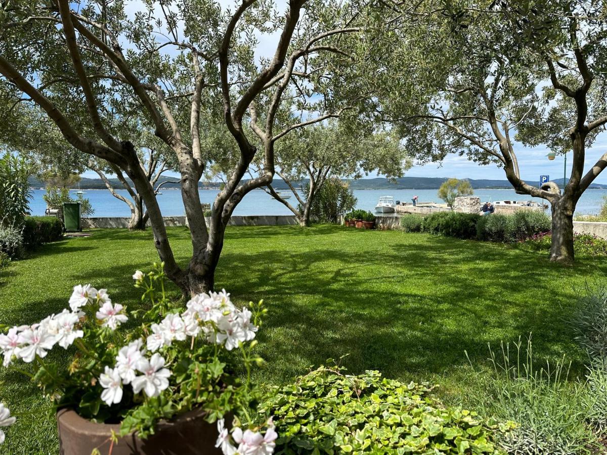 Roko * Biograd Na Moru
